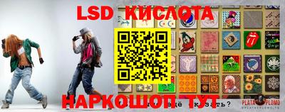 гидра Кимры