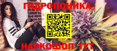 гидра Кимры