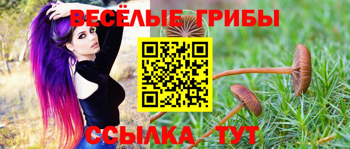 Коркино  Псилоцибиновые грибы мухоморы  Вход с VPN 